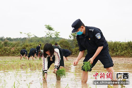 崇左寨安边检站“党员服务队”助边民春耕