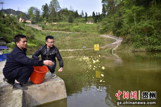 贵州民大派驻镇远县报京乡屯上村第一书记杨洋指导群众喂鱼。 贵州民大派驻镇远县报京乡屯上村第一书记杨洋指导群众喂鱼。