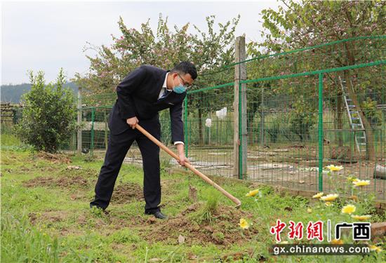三江南站職工在攏土種植瓜豆苗。李潔 攝 三江南站職工在攏土種植瓜豆苗。李潔 攝