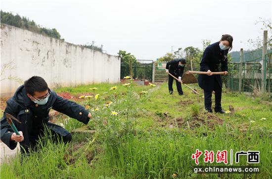 三江南站職工在清理小菜園的雜草枯枝。李潔 攝 三江南站職工在清理小菜園的雜草枯枝。李潔 攝