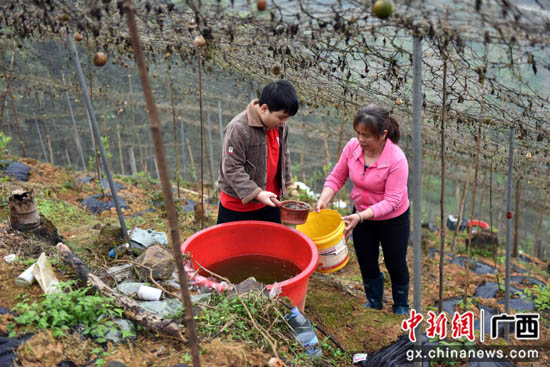 龙胜贫困单亲母亲用勤劳的双手撑起家里的一片天