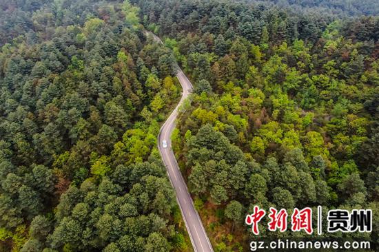 游客驱车行驶在拱拢坪国家森林公园内的公路上 陈曦摄 游客驱车行驶在拱拢坪国家森林公园内的公路上 陈曦摄