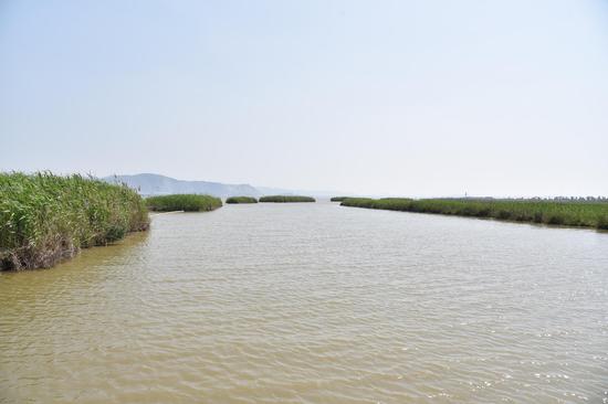 探访浙江玉环漩门湾国家湿地公园春景美如画