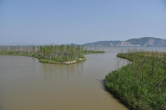 探访浙江玉环漩门湾国家湿地公园春景美如画