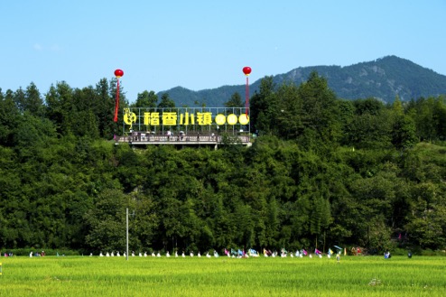 建德稻香小镇。 建德市委宣传部供图