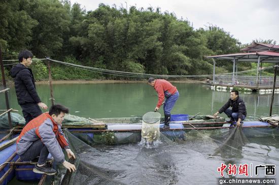 古頂村村民正在捕撈作業。韋仕宏 攝 古頂村村民正在捕撈作業。韋仕宏 攝
