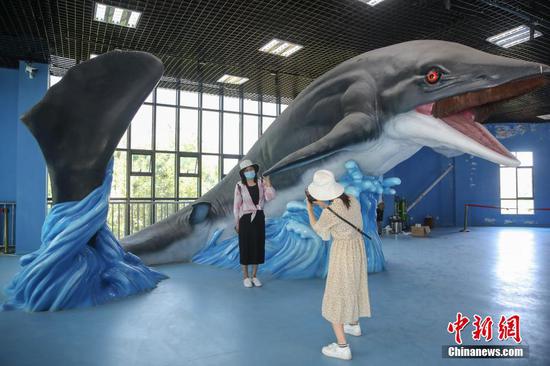 游客在鱼龙展示馆内和雕塑合影。中新社记者 瞿宏伦 摄 游客在鱼龙展示馆内和雕塑合影。中新社记者 瞿宏伦 摄