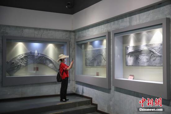 游客在博物馆内参观展出的化石。中新社记者 瞿宏伦 摄 游客在博物馆内参观展出的化石。中新社记者 瞿宏伦 摄