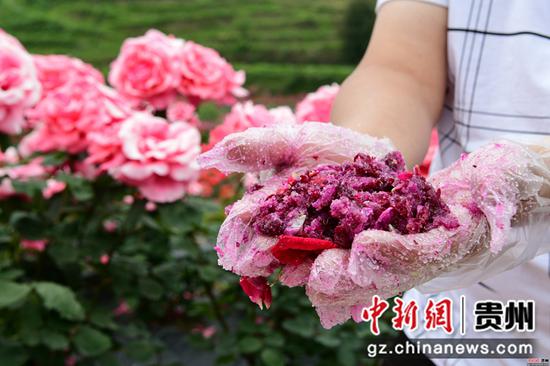 周燕林 摄