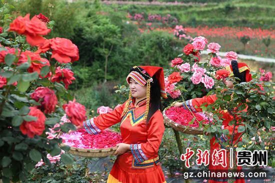 周燕林 摄