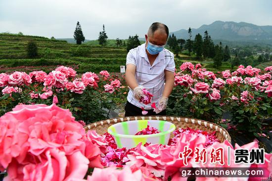 周燕林 摄