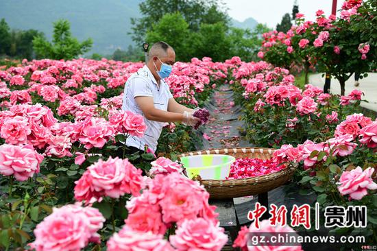 周燕林 摄