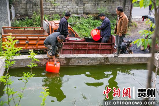 5月12日,在贵州省毕节市大方县慕俄格古城街道凉井村,村民正在往车上装水。 罗大富 摄 5月12日,在贵州省毕节市大方县慕俄格古城街道凉井村,村民正在往车上装水。 罗大富 摄