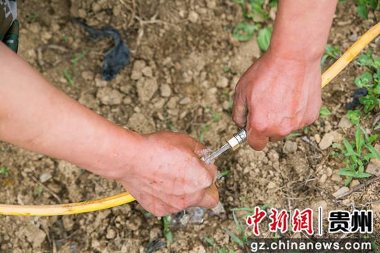 5月12日,在贵州省毕节市大方县慕俄格古城街道凉井村,村民正在接水管。 罗大富 摄 5月12日,在贵州省毕节市大方县慕俄格古城街道凉井村,村民正在接水管。 罗大富 摄
