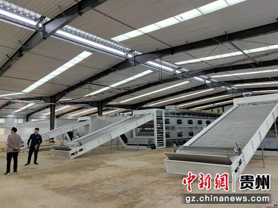 中药材交易市场加工区的生产线搭建完毕 中药材交易市场加工区的生产线搭建完毕