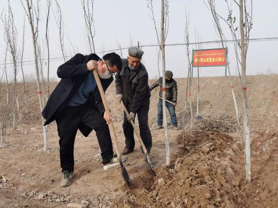 拜城县布隆乡欧吐拉布隆村的干部群众正在开展义务植树活动.
