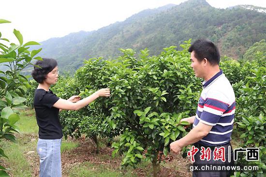 图为黎子君在工作中。张桂芬 摄 图为黎子君在工作中。张桂芬 摄