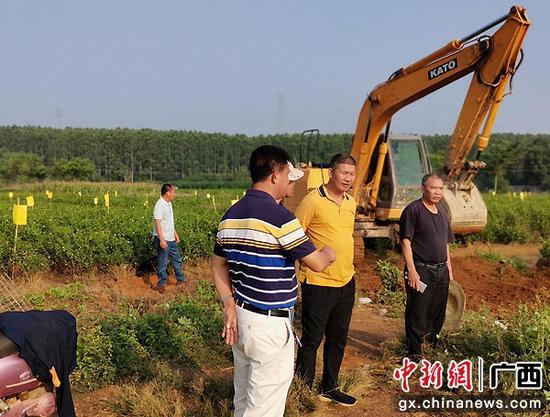 图为横县党员干部深入一线服务茉莉小镇建设 。校椅镇供图 图为横县党员干部深入一线服务茉莉小镇建设 。校椅镇供图