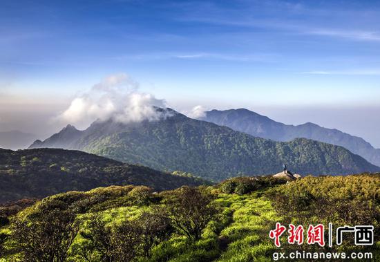 元宝山国家级自然保护区。韦仕宏 摄 元宝山国家级自然保护区。韦仕宏 摄