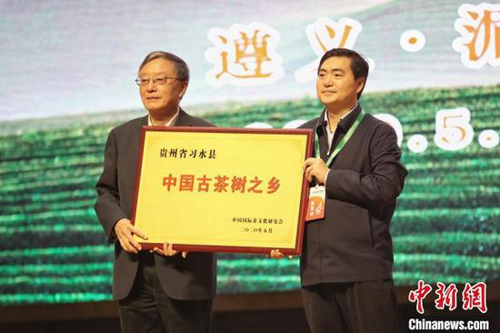 贵州省遵义市习水县获得“中国古茶树之乡”授牌。　瞿宏伦　摄