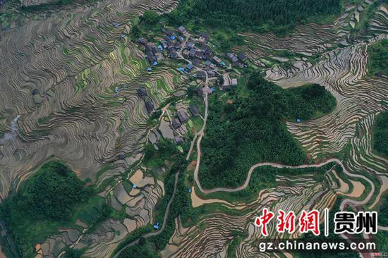 2020年6月2日,在贵州省从江县刚边壮族乡拍摄的宰别梯田 吴德军 摄 2020年6月2日,在贵州省从江县刚边壮族乡拍摄的宰别梯田 吴德军 摄