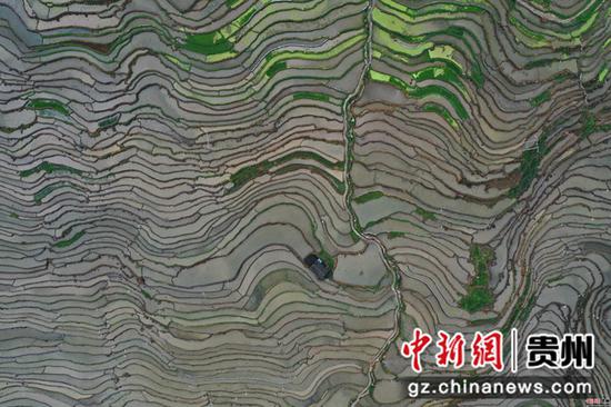 2020年6月2日,在贵州省从江县刚边壮族乡拍摄的宰别梯田 吴德军 摄 2020年6月2日,在贵州省从江县刚边壮族乡拍摄的宰别梯田 吴德军 摄