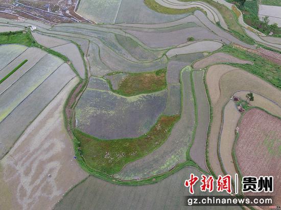 梯田美景。 李华 摄 梯田美景。 李华 摄