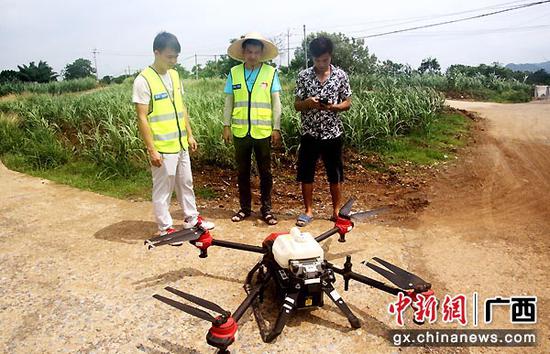 图为潘荣宁和工作人员一起研究使用无人机给甘蔗地喷洒农药。程宇瞰  摄