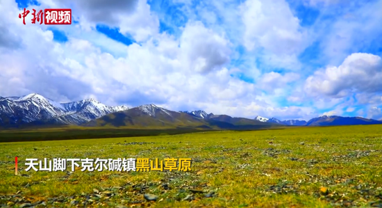 新疆托克逊县黑山草原：雪山与绿野交相辉映