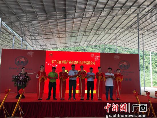 图为投产仪式。 图为投产仪式。
