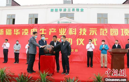 新疆龙头企业华凌集团计划3-5年在塔城存栏育肥肉牛10万头