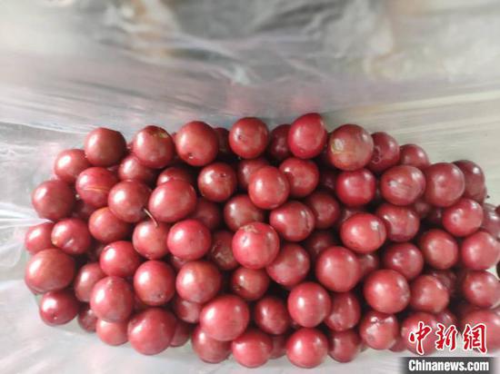 石小杰 摄 石小杰 摄