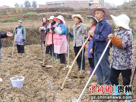 农技人员指导合作社村民种植白菜.李金苗摄 农技人员指导合作社村民种植白菜.李金苗摄