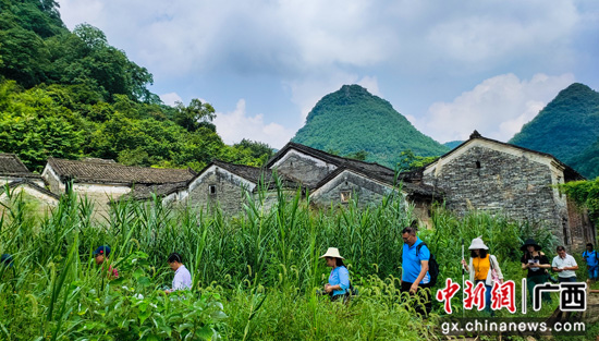 昭平产业扶贫:旅游度使北莱笑 黄姚百里沐春风