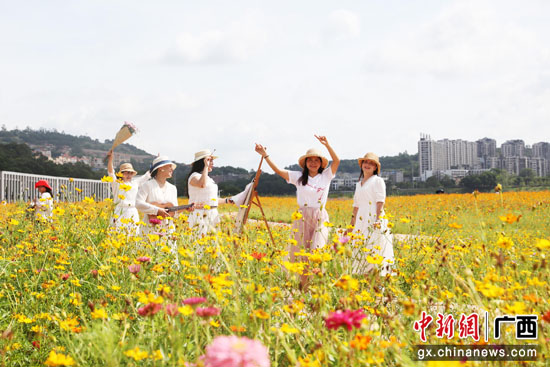 广西南宁:龟山花田醉游人