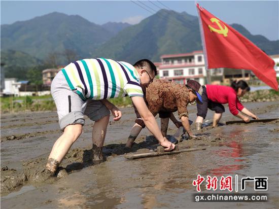 灌阳镇徐源村驻村队和村民在田间劳作 灌阳县:让优秀干部战在扶贫一线