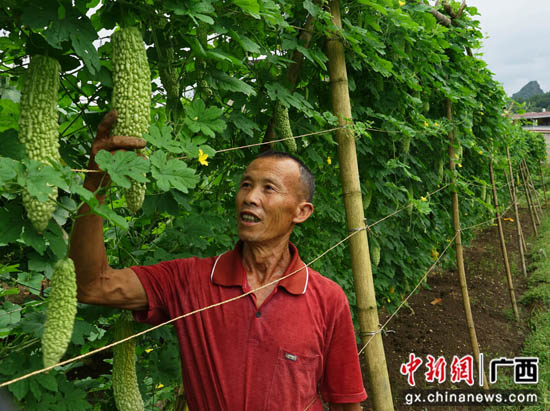 广西种植业人口_广西贫困人口