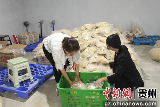 工作人员分装萝卜干 蒲安先 摄 工作人员分装萝卜干 蒲安先 摄