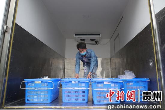 贵州毕节七星关一家“营养午餐”食材供应公司员工在配送食材。