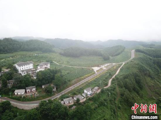航拍海雀村林场一隅。 岳旺 摄 航拍海雀村林场一隅。 岳旺 摄