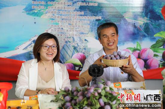 河池市人大常委会副主任、天峨县委书记陆祥红走进直播间推介龙滩珍珠李