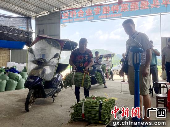 售卖豆角。