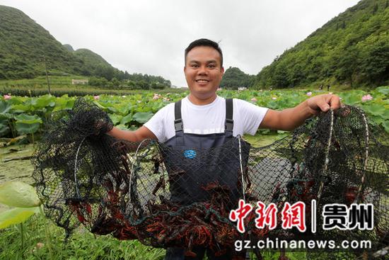 图为猫山村小龙虾养殖基地,村民在荷花塘里收虾。史开心 摄