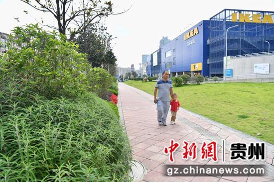 图为贵阳市民在干净整洁的人行道上散步。张奕妍 摄 图为贵阳市民在干净整洁的人行道上散步。张奕妍 摄