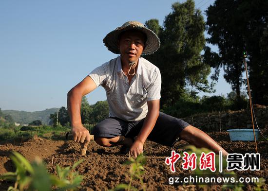 图为村民移栽金丝楠木幼苗。史开心 摄 图为村民移栽金丝
5b4
楠木幼苗。史开心 摄
