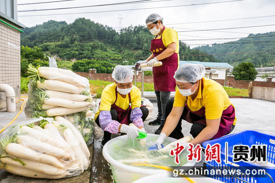 8月2日,村民在贵州省毕节市七星关经济开发区陈二平特色食品萝卜干生产车间里忙碌。
