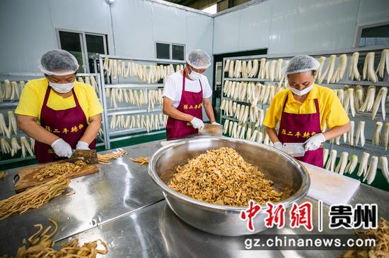 8月2日,村民在贵州省毕节市七星关经济开发区陈二平特色食品萝卜干生产车间里忙碌。