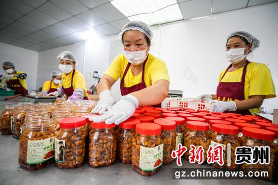 8月2日,村民在贵州省毕节市七星关经济开发区陈二平特色食品萝卜干生产车间里忙碌。