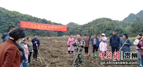 農技專家為群眾講解油茶種植技術 農技專家為群眾講解油茶種植技術