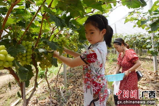 踏在“阳光”上的致富路